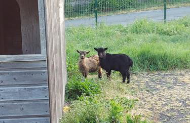 La Chaumière avec piscine privée, à 5 minutes du Mont St-Michel - Foto 24