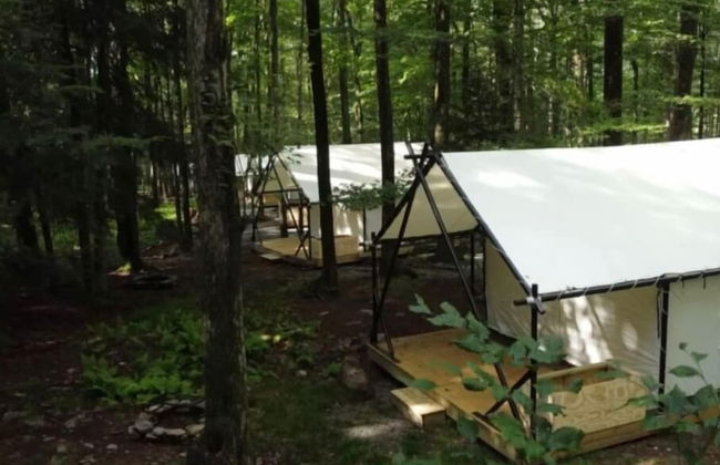 Ferncrest Campground - Photo 26