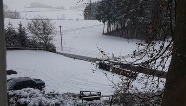 Ferienhaus Ammermann - Foto 3, Garden, Garden view