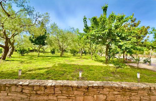 Apartments Marijan & Marija - Foto 9