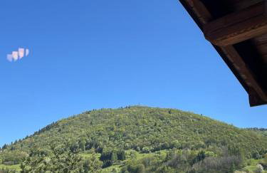 Domki Pienińskie Tarasy - Photo 42