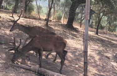 Casas Rurales La Loma Del Carrascal - Foto 41