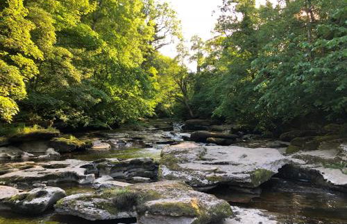 La'l Stenkrith - Photo 21