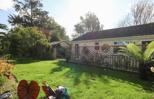 Little Timbers - Foto 26