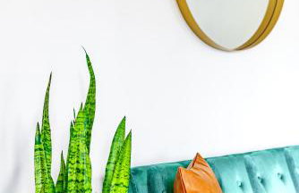 Jungle House Luxury Stays - Downtown Chillicothe - Foto 66