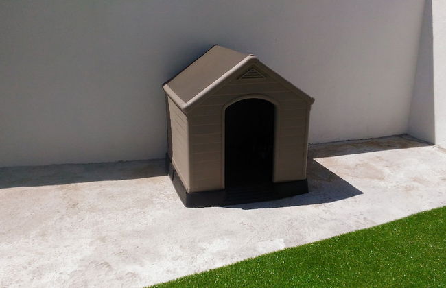 Visitar Bioucas II - Casa Tradicional Portuguesa - Foto 16