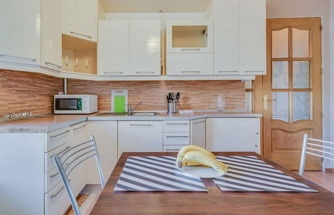 Ludwig Apartment at Pervaya Sovetskaya 8 - Foto 10