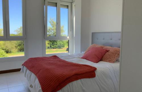 SUPER CHOLLO ENERO piso a pie de playa, TU MASCOTA ES BIENVENIDA! - Foto 13