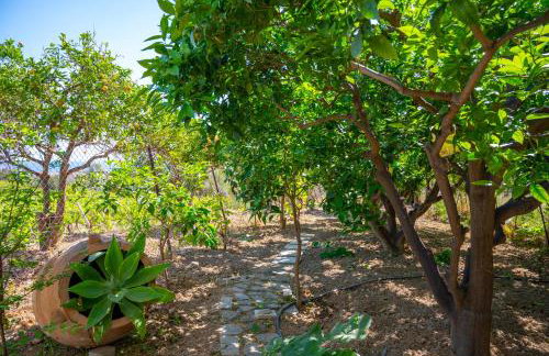 Marianthi's Home Old Hersonissos - Foto 33