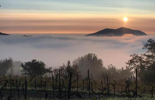 Private house - Photo 15