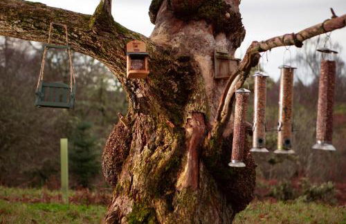 Balnagown Estates - Foto 71