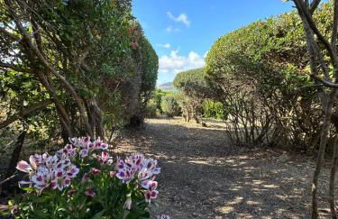 Stintino vista mare l'ancora - Photo 44