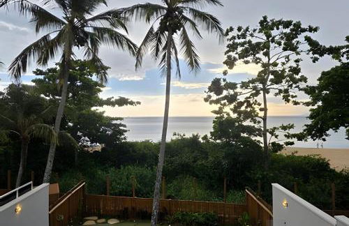 Modernismo Tropical em Toque Toque Pequeno - Foto 31