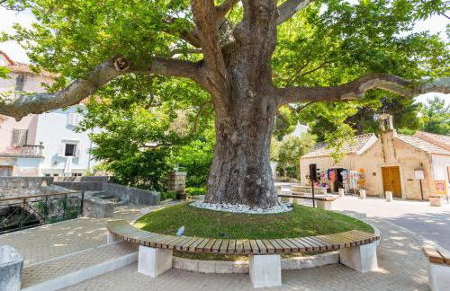 Villa Scala 2 - Mlini - Foto 36