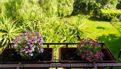 La fastuca casa vacanze - Foto 5