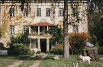 Pałac Rząsiny - Foto 19