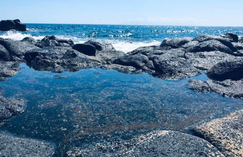 Bruno´s House Apartment - Foto 14