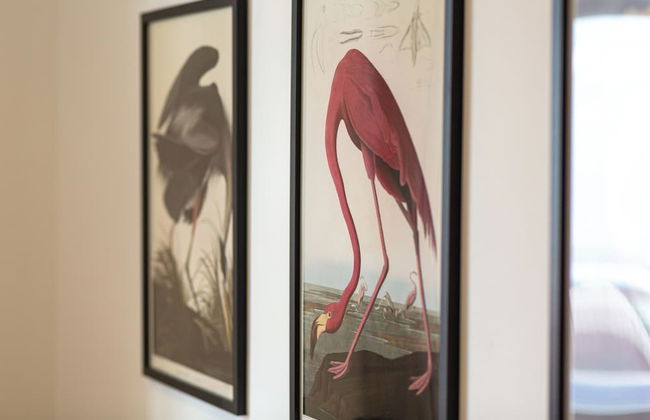 Bright & Airy 2BD - 10min walk to Centre - Foto 38