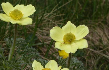 Giuditta FreeCarPark&Garden - Photo 65