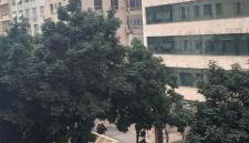 Cinelandia 185 - Foto 4