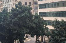 Cinelandia 185 - Foto 4