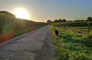 Ferienhaus "Zur Mühle" - Photo 25