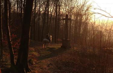 Ferienwohnung Kaim - Foto 24