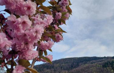 Apartamenty Brenna Klimorówka - Foto 64