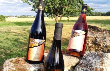 Villa coco 9 personnes jardin proche Beauval - Foto 32