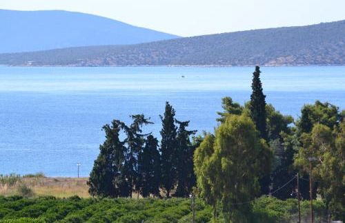 Alexandros Apartments - Foto 51