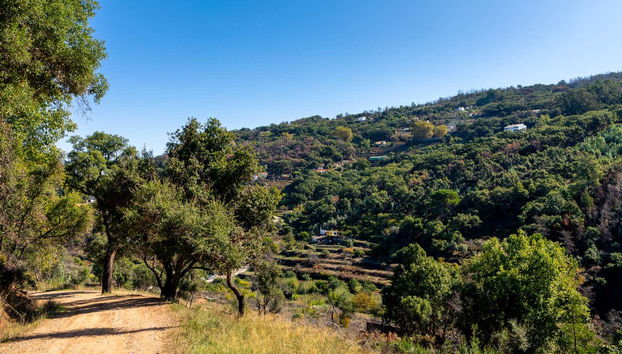 Scogliere dell'Algarve