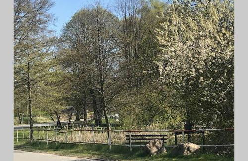 Gartenvilla@Baltic-Chalets - Foto 21