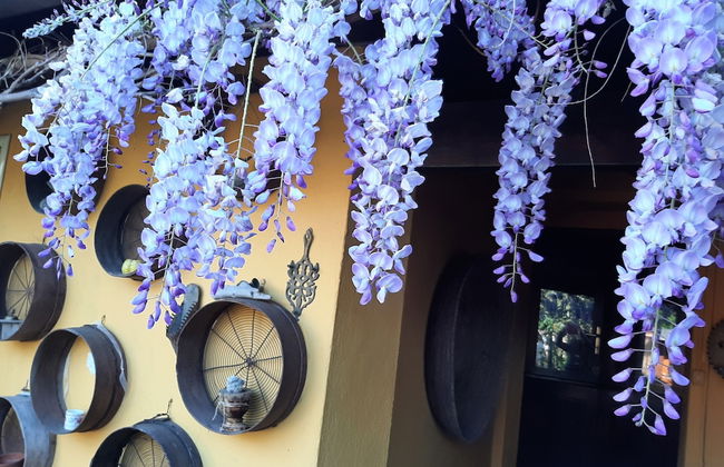 Casa di Campagna Dal Pozzo - Foto 73