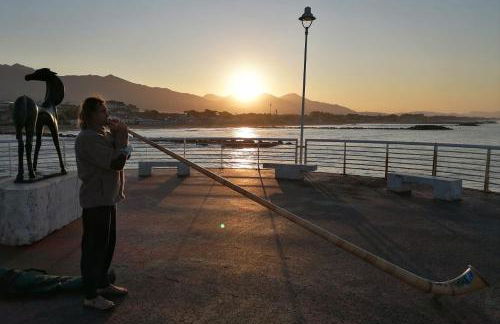 Casa Bianca - Photo 39