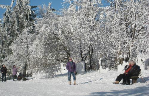 Ferienwohnung Karin - Foto 15