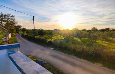 Villa Polis - Foto 12