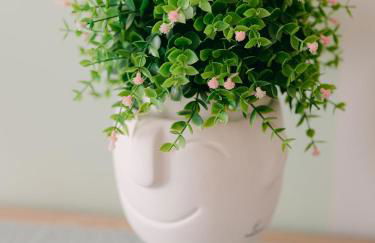 L'Anita - Hyper Centre Cannes - Foto 11