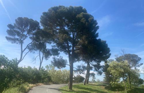 Maison RASSIER, Gîte Vélo - Foto 34