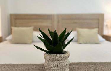 Valente Rooms Kythira - Foto 47