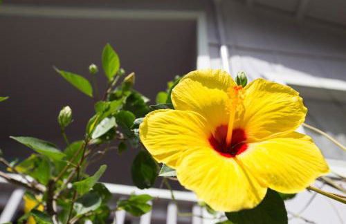 The Dolphin Cottage at Kehena Beach - Foto 26