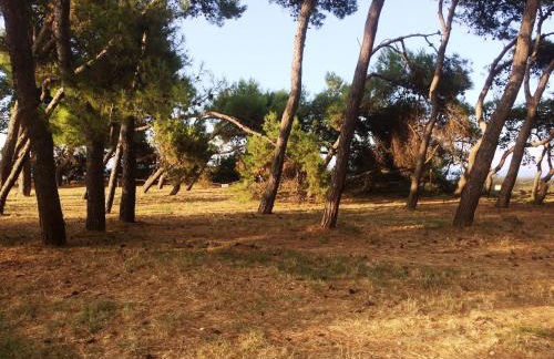 Hillside Escape with Pool - Foto 37