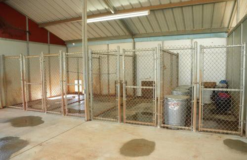 In the Woods by a Pond! Sugar Ranch Guest House! - Foto 73