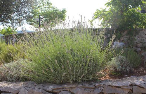 Country House Hacienda - Photo 46