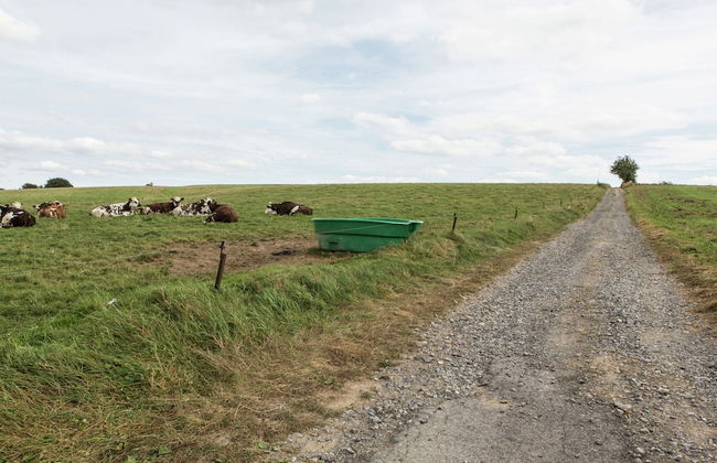 Affluent Chalet in Septon with Whirlpool, Sauna, Hot Tub - Foto 39