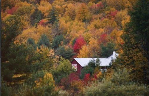 The Tannery House - Foto 21