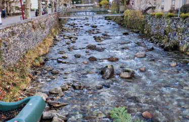 Grand Studio Balcon Parking Privé classé 1 étoile Aulus les Bains - Foto 16