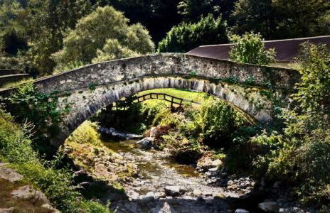 Villa Delle Rose - Foto 1