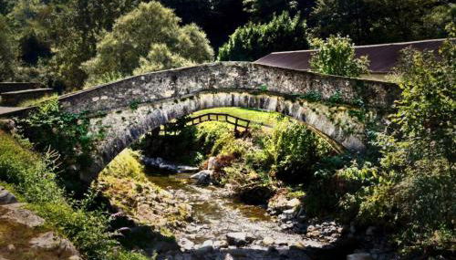 Villa Delle Rose - Foto 1, Garden view