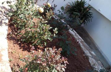 Studios Akrogiali - Photo 16