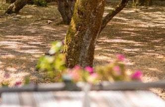 Mountain Hotels "Aroanides" - Foto 76